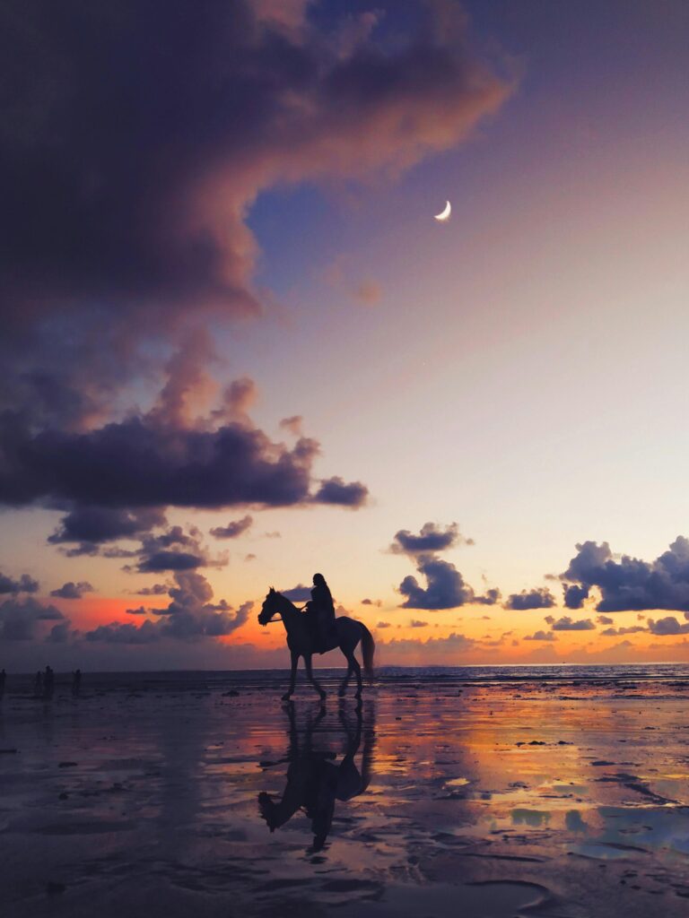Silhouette of a horse and rider against a stunning twilight sky on a beach in Mumbai.